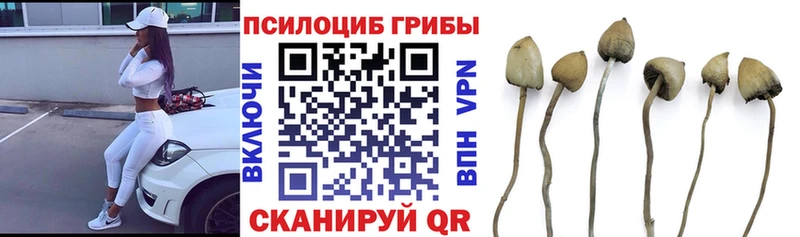 Псилоцибиновые грибы прущие грибы  Дивногорск 