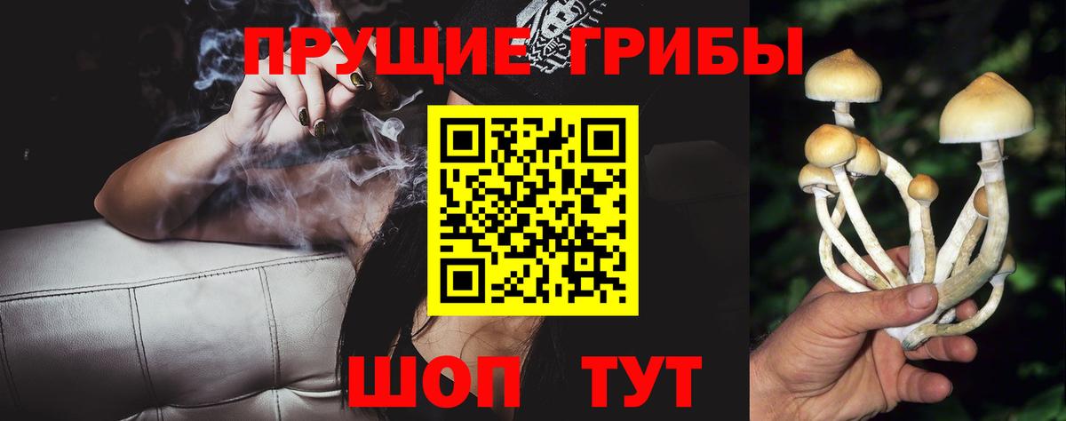 Галлюциногенные грибы мухоморы Дивногорск