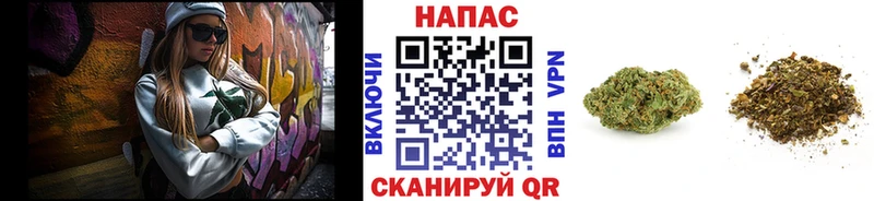 где купить наркоту  Дивногорск  Шишки марихуана Amnesia 